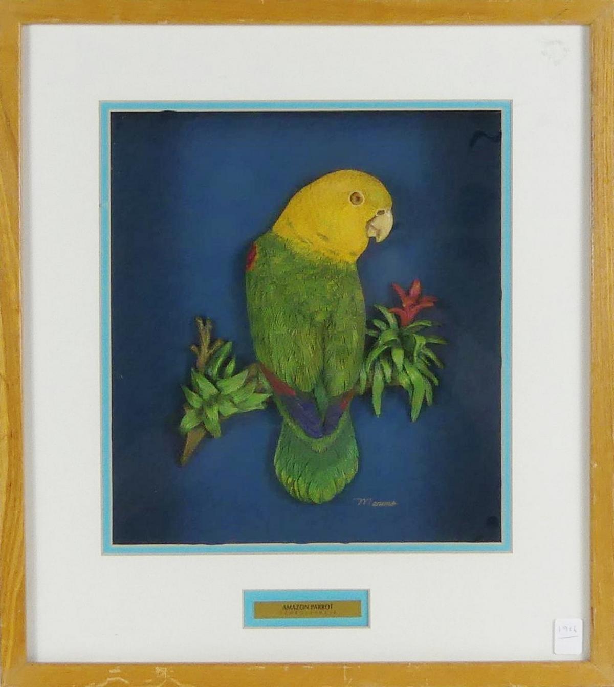 AMAZON PARROT IN SHADOWBOX