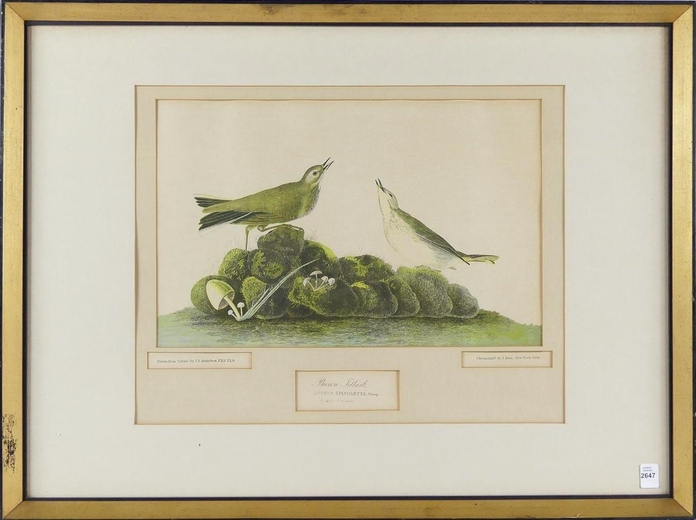 JOHN JAMES AUDUBON | SPRING 2021 FINE ART AUCTION | Online Auction ...