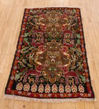 ANIMAL DESIGN RUG