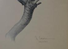 J.F. LANSDOWNE PRINT