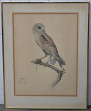J.F. LANSDOWNE PRINT