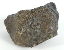 METEORITE