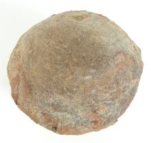 DINOSAUR EGG FOSSIL