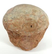 DINOSAUR EGG FOSSIL