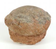 DINOSAUR EGG FOSSIL