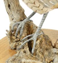 TWO FOLK ART QUAIL WOOD CARVINGS
