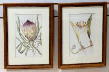 THREE FRAMED BOTANICAL PRINTS