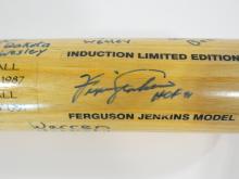 AUTOGRAPHED BASEBALL BAT AND CRICKET BALL