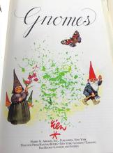 BOOK ON GNOMES WITH ILLUSTRATIONS