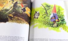 BOOK ON GNOMES WITH ILLUSTRATIONS
