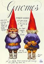BOOK ON GNOMES WITH ILLUSTRATIONS