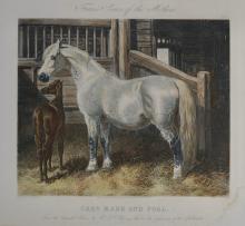 PAIR OF HORSE PRINTS