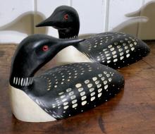 DECOYS