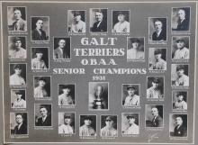 GALT TERRIERS 1931