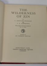 THE WILDERNESS OF ZIN