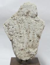 ASIAN STONE BUST