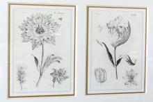 BOTANICAL PRINT
