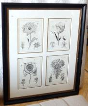 BOTANICAL PRINT