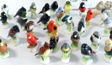 TENDER LEAF TEA PORCELAIN BIRDS