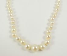 PEARL NECKLACE & EARRINGS