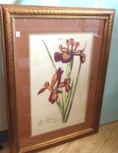PAIR BOTANICAL PRINTS