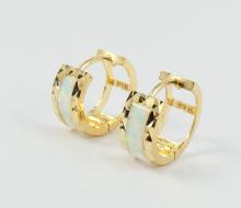 PAIR SMALL HOOP EARRINGS