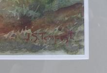 J.S. TEMPEST