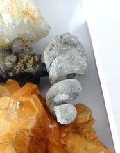 FOSSIL & GEODES