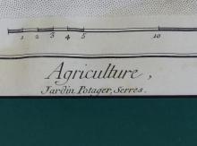 ANTIQUE ARCHITECTURAL ENGRAVINGS