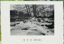 R.P.D. HICKS