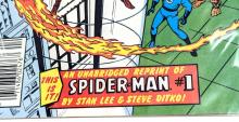 SPIDER-MAN COMICS 