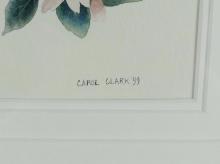 CAROL CLARK