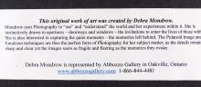 PAIR DEBRA MONDROW MIXED MEDIAS