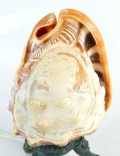 CAMEO SHELL LAMP