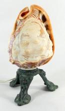 CAMEO SHELL LAMP