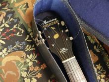 HARMONY ACOUSTIC GUITAR