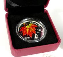 $20.00 FINE SILVER COIN - no tax