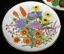 SET OF WEDGWOOD PLATES