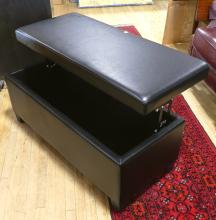 STORAGE BENCH/COFFEE TABLE