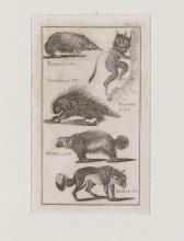 SET OF FIVE EARLY ENGRAVINGS