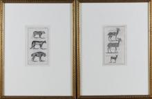 SET OF FIVE EARLY ENGRAVINGS