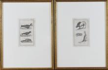 SET OF FIVE EARLY ENGRAVINGS