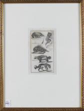 SET OF FIVE EARLY ENGRAVINGS