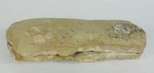 FISH FOSSIL