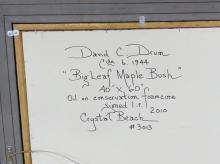 MAJOR DAVID DRUM OIL