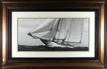 LARGE MARINE PRINT