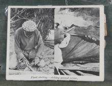 AUSTRALIAN BARK PAINTING
