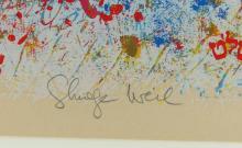 SHRAGA WEIL
