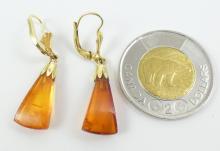 AMBER EARRINGS