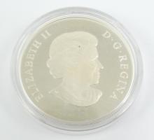 $100 SILVER COIN